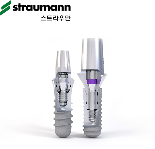 스트라우만(straumann) 임플란트